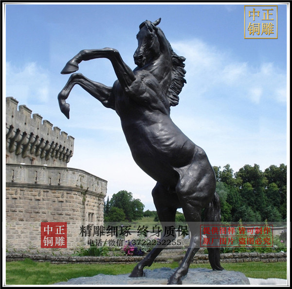 HTB1RMqhbf9TBuNjy0Fcq6zeiFXaI.jpg_.webp.jpg HTB1RMqhbf9TBuNjy0Fcq6zeiFXaI.jpg_.webp.jpg