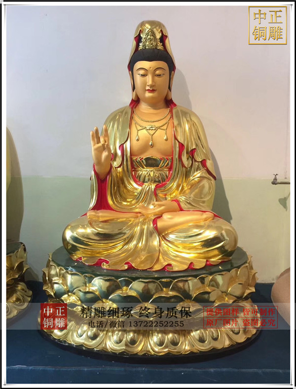 IMG_3584.jpg IMG_3584.jpg