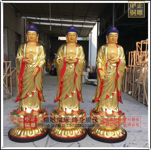 IMG_1731.jpg IMG_1731.jpg